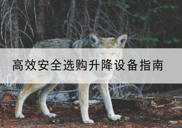 梅县升降货梯厂家推荐-*安全选购升降设备指南