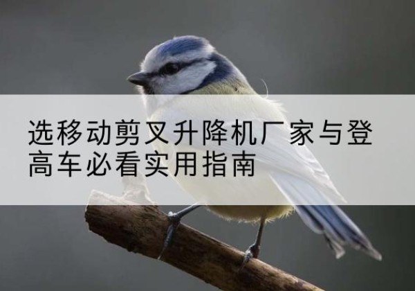 梅县电动升降机厂家-选移动剪叉升降机厂家与登高车必看实用指南