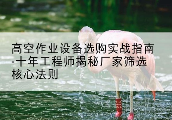 梅县剪叉式升降机厂家-高空作业设备选购实战指南-十年工程师揭秘厂家筛选核心法则